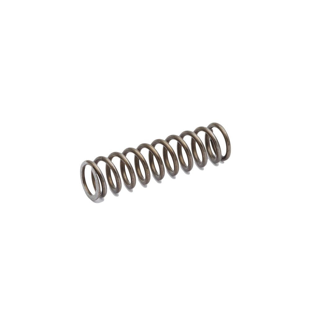 CZ Shadow 2 CZ TS 2 CZ 75B & SP-01 firing pin spring | standard power