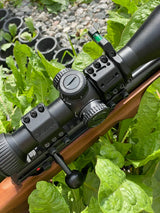 30 mm scope rings | Picatinny base